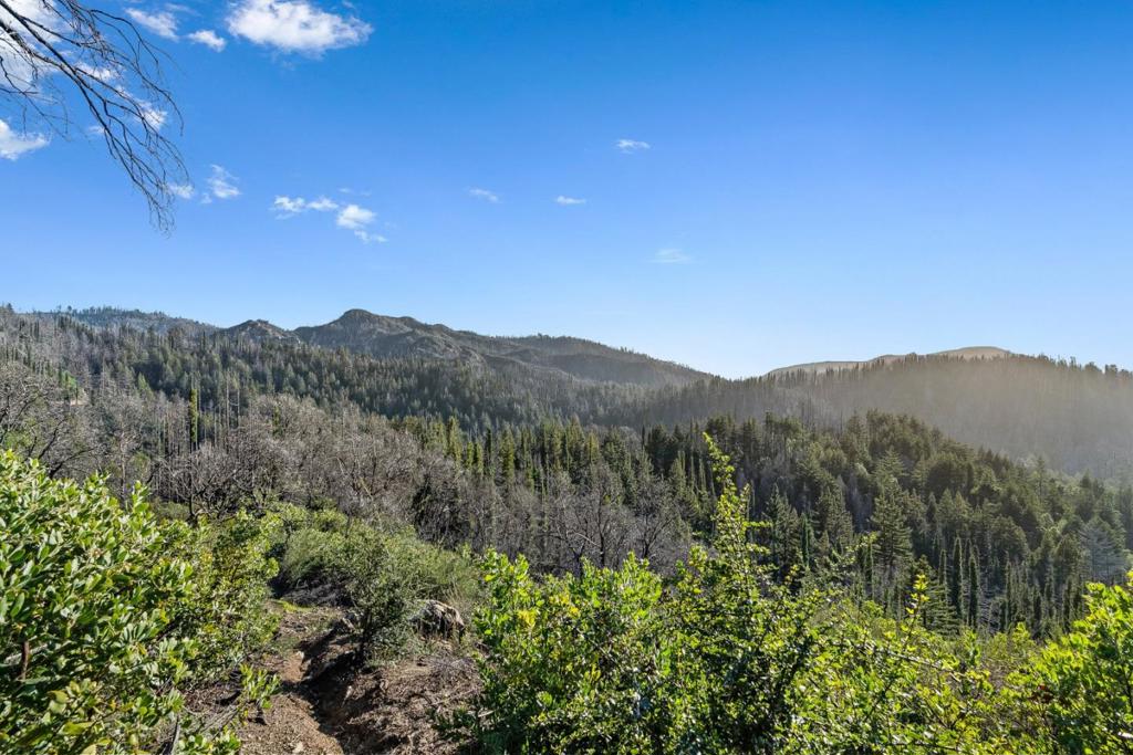 21200 Big Basin Way Property Photo 1
