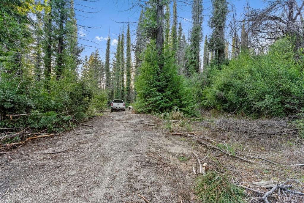 21200 Big Basin Way Property Photo 4