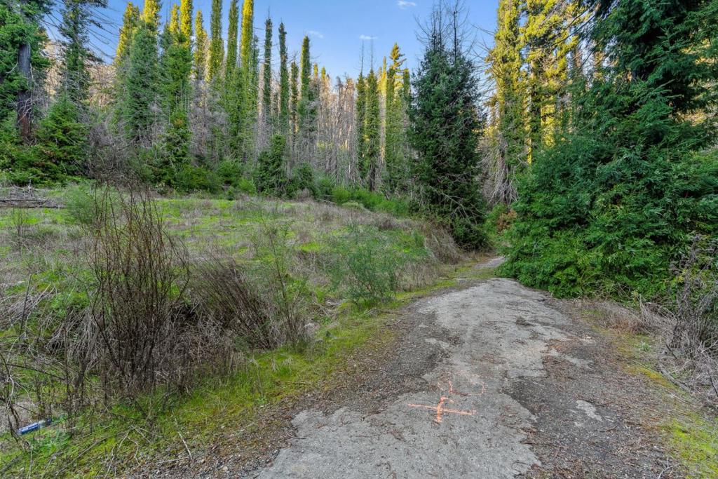 21200 Big Basin Way Property Photo 5