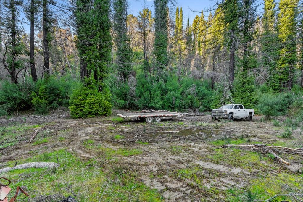 21200 Big Basin Way Property Photo 6
