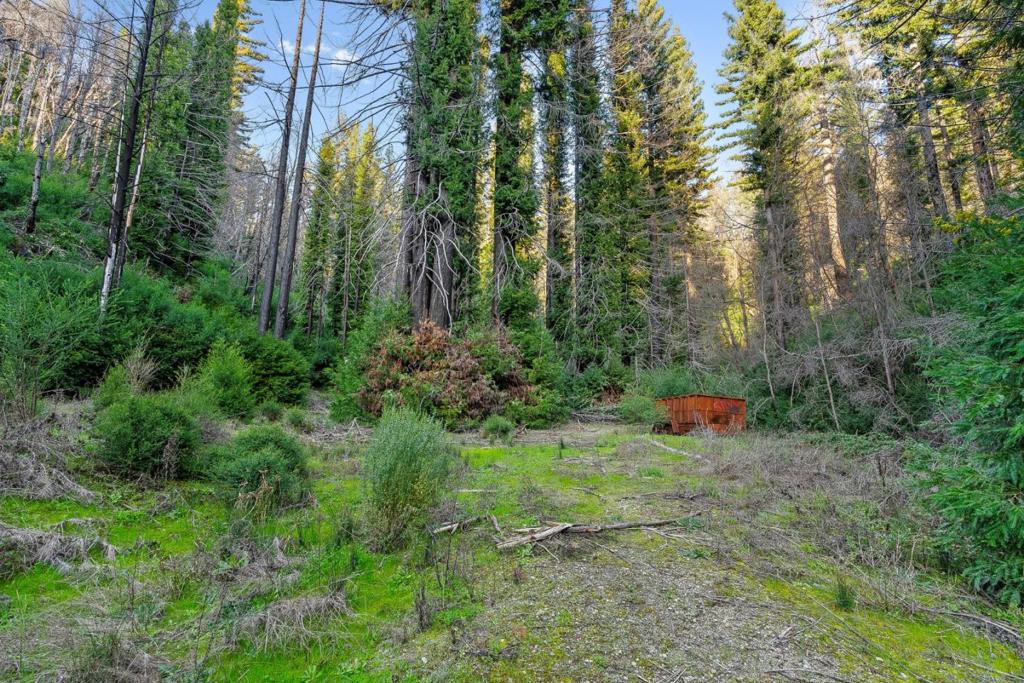 21200 Big Basin Way Property Photo 8
