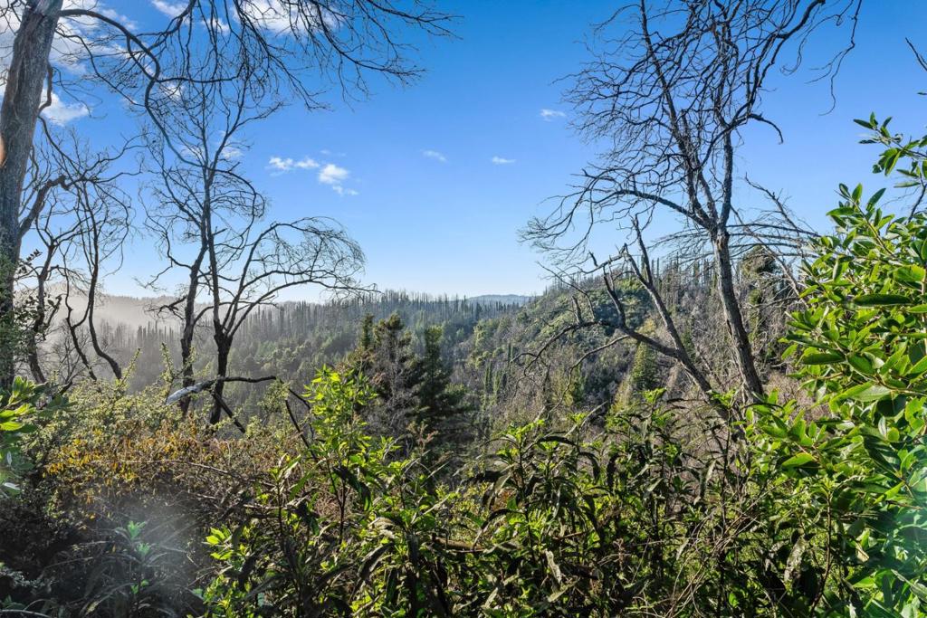 21200 Big Basin Way Property Photo 9