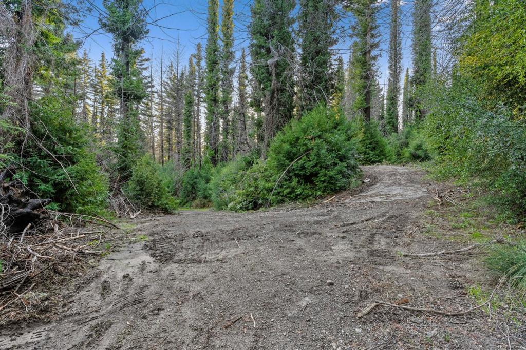 21200 Big Basin Way Property Photo 10