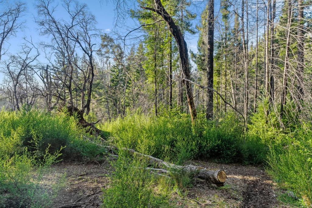 21200 Big Basin Way Property Photo 11