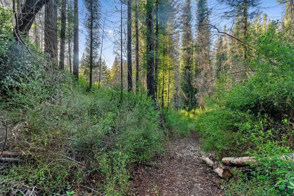 21200 Big Basin Way Property Photo 12