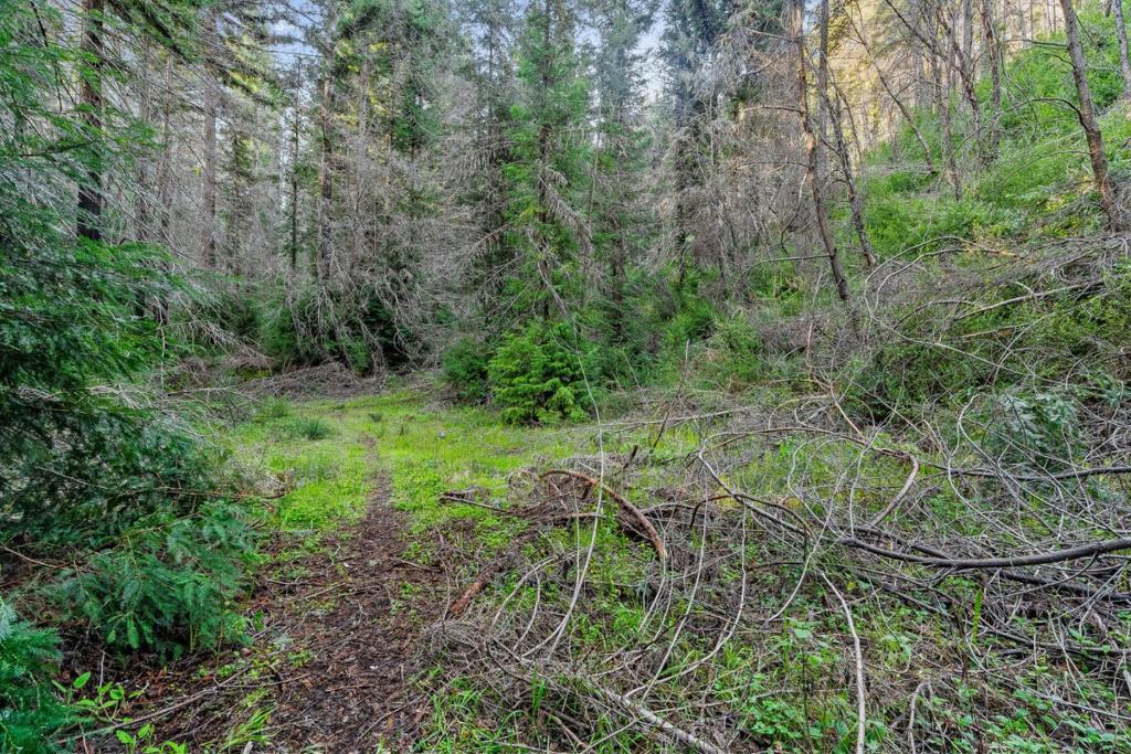 21200 Big Basin Way Property Photo 14
