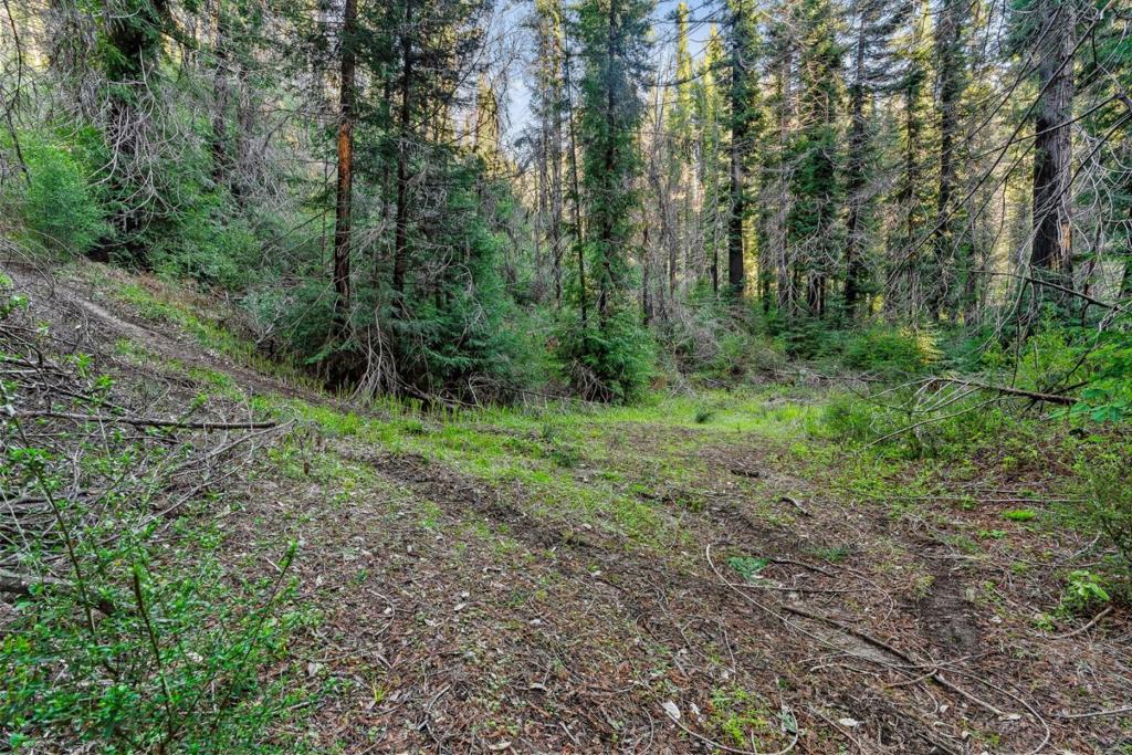 21200 Big Basin Way Property Photo 15