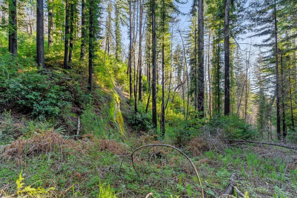 21200 Big Basin Way Property Photo 18
