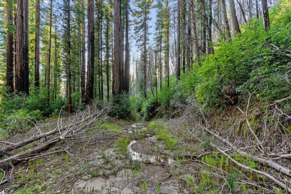 21200 Big Basin Way Property Photo 19
