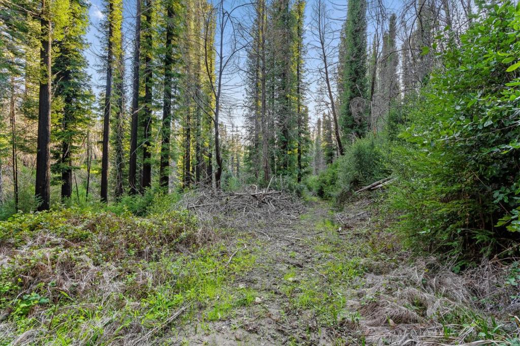 21200 Big Basin Way Property Photo 20