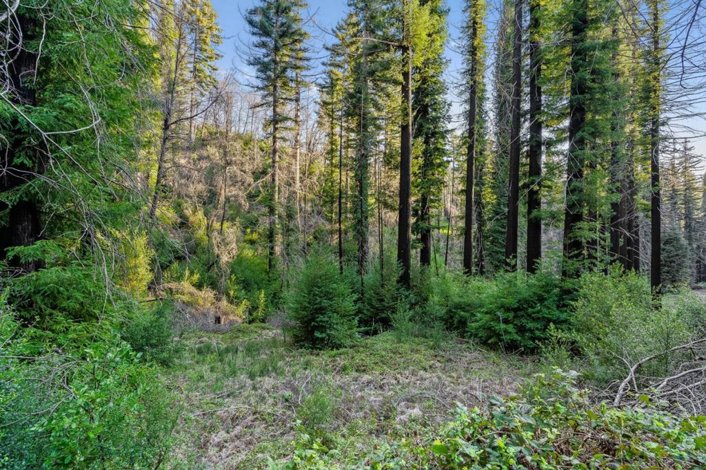 21200 Big Basin Way Property Photo 21