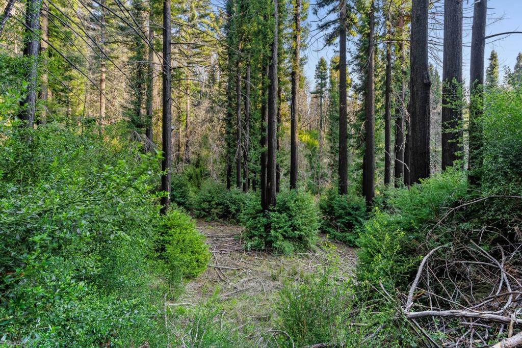 21200 Big Basin Way Property Photo 22