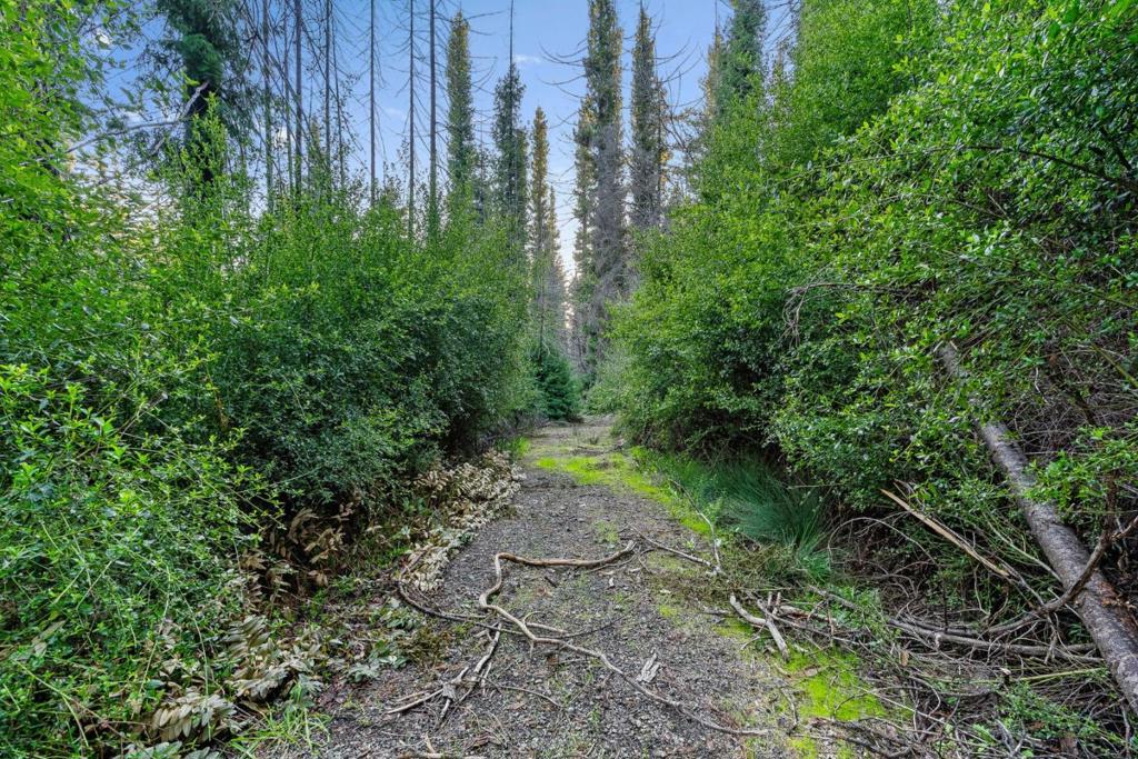 21200 Big Basin Way Property Photo 23