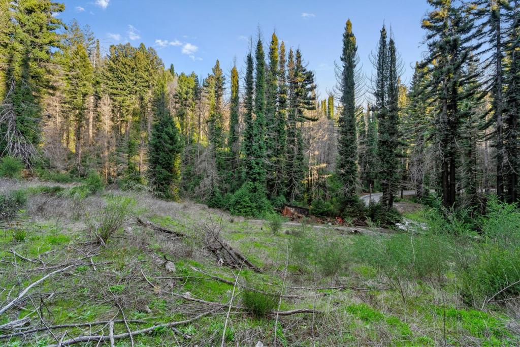 21200 Big Basin Way Property Photo 24