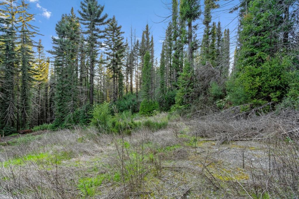 21200 Big Basin Way Property Photo 25
