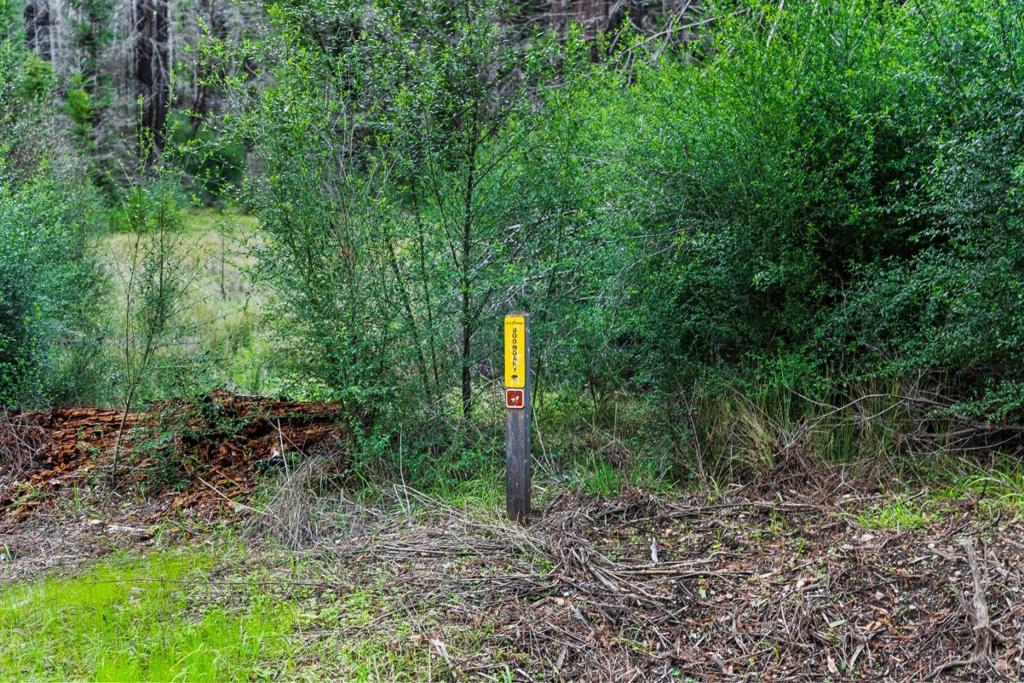 21200 Big Basin Way Property Photo 27