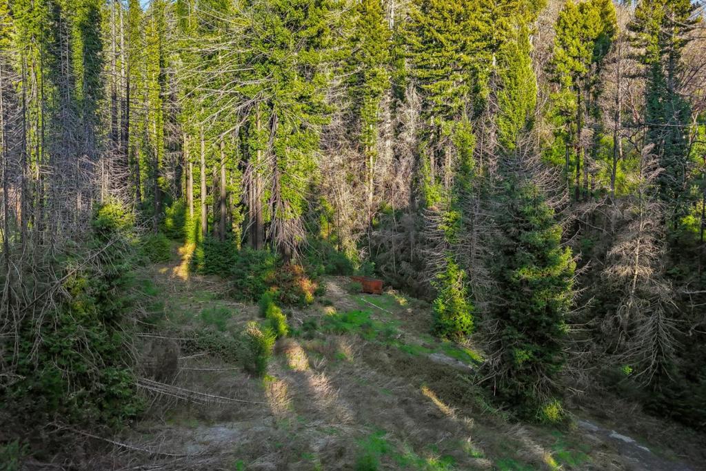 21200 Big Basin Way Property Photo 35