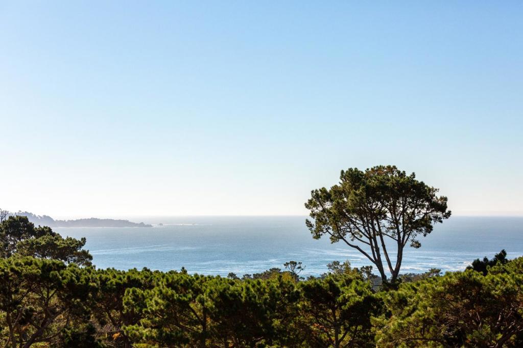1488 Bonifacio Road Property Photo