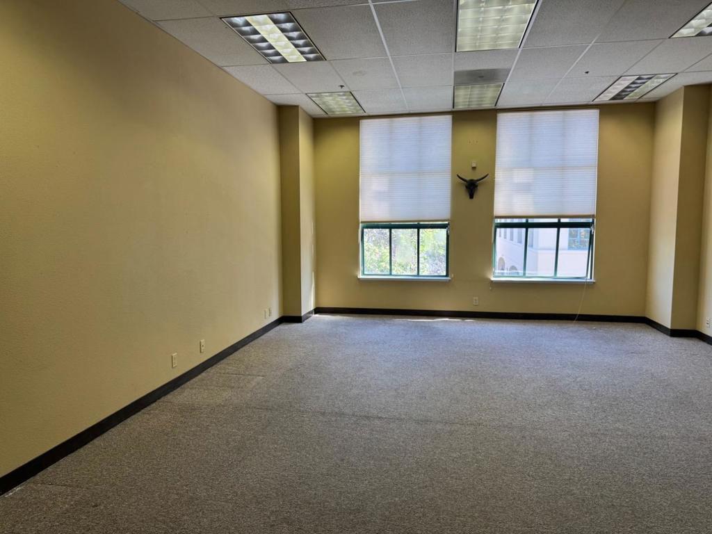 111 Cooper Street Property Photo 13