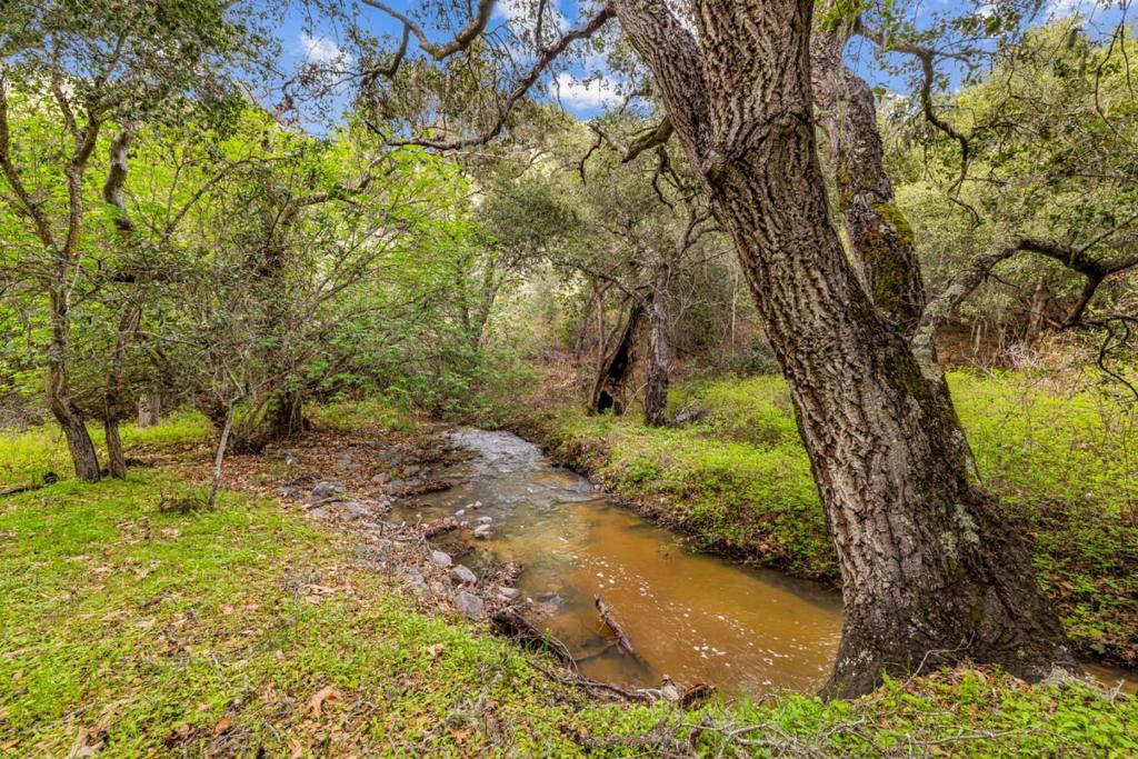 28750 Underwood Road Property Photo 28