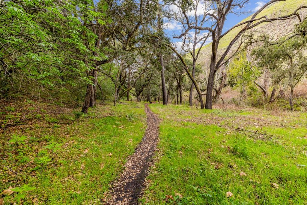 28750 Underwood Road Property Photo 30