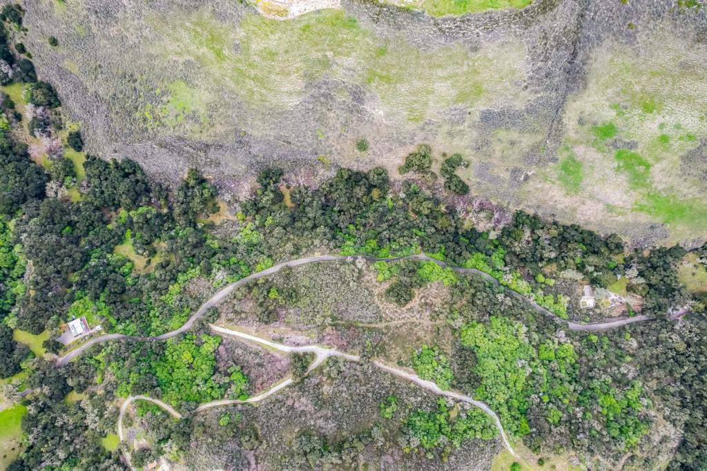 28750 Underwood Road Property Photo 54