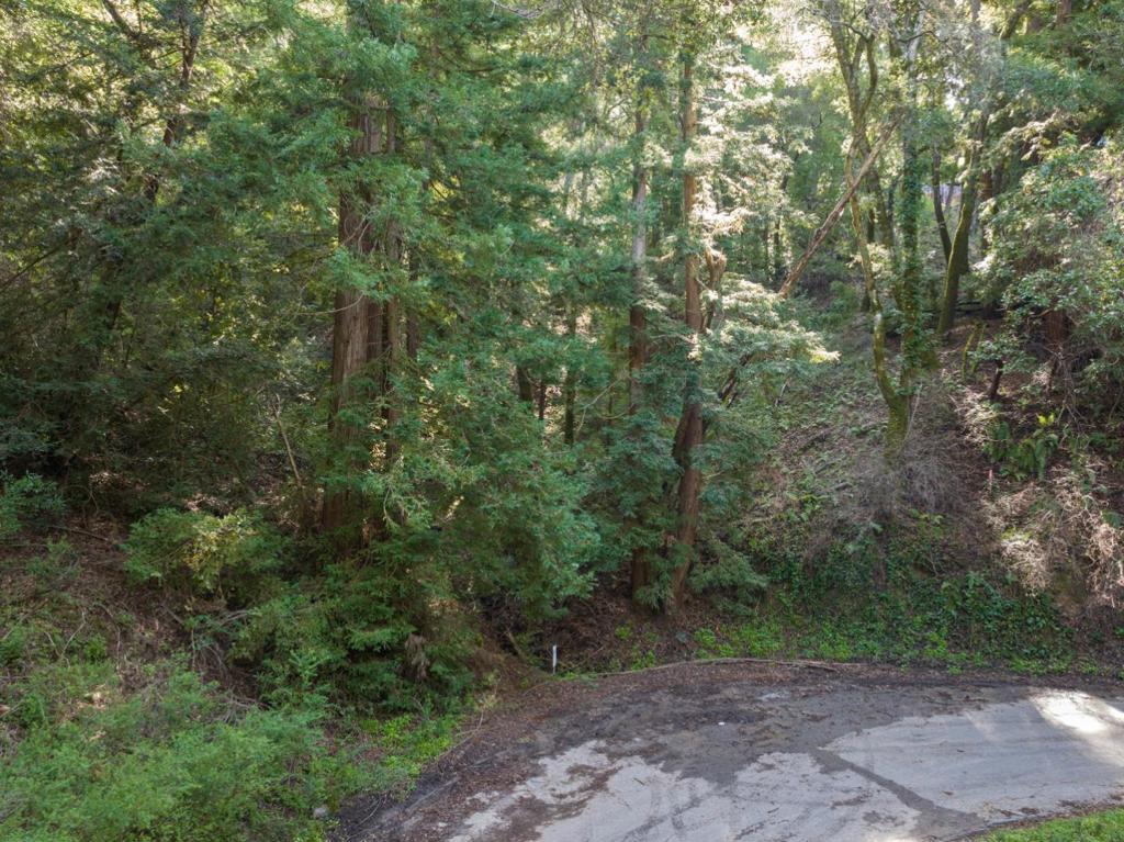 Lake Boulevard Property Photo