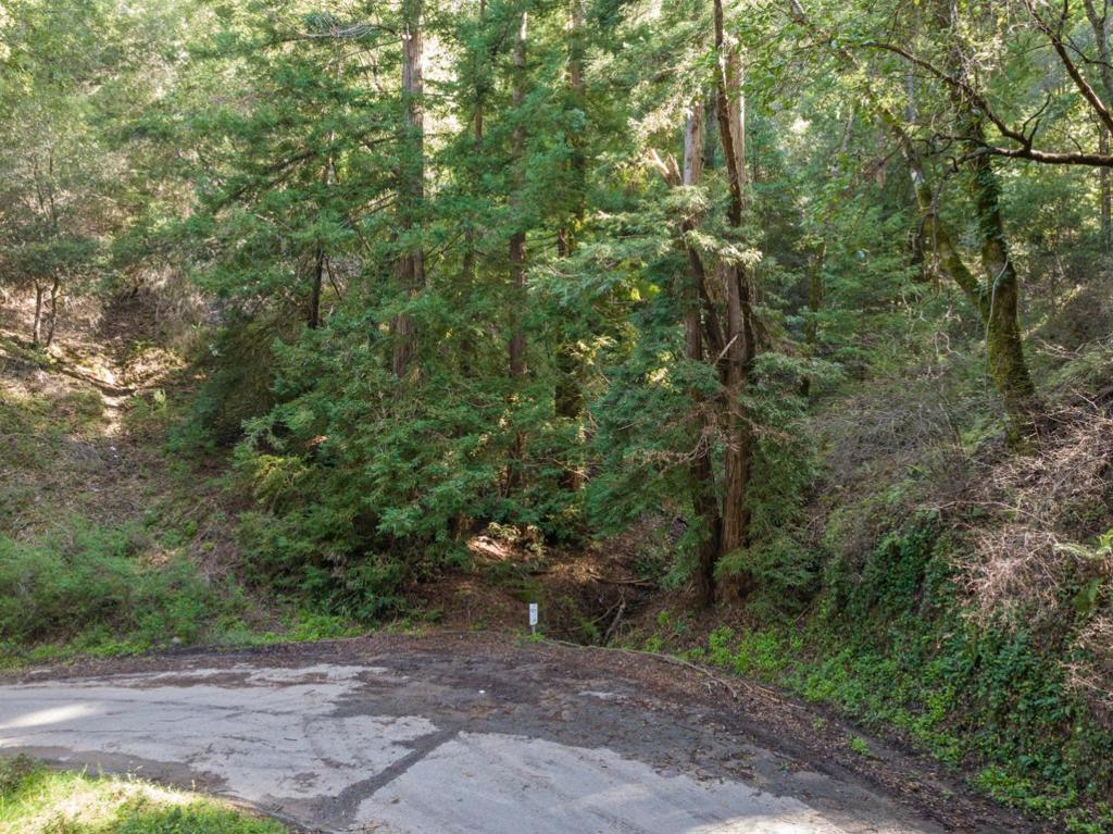 Felton Real Estate Listings Main Image