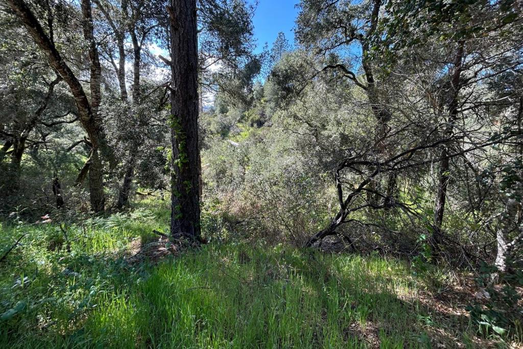 Ben Lomond Real Estate Listings Main Image