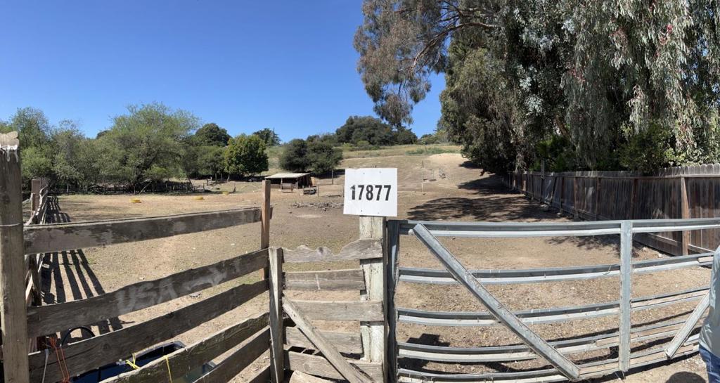 17877 Cross Road Property Photo