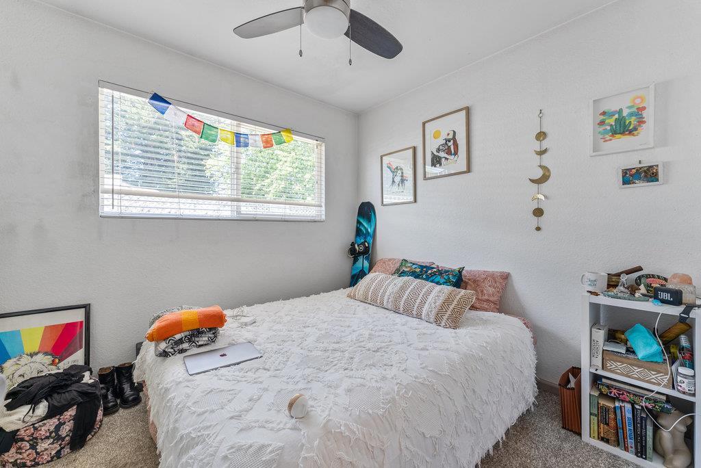 1803 Felt Street Property Photo 20