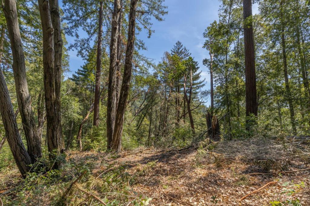 333 Western Avenue Property Photo 9