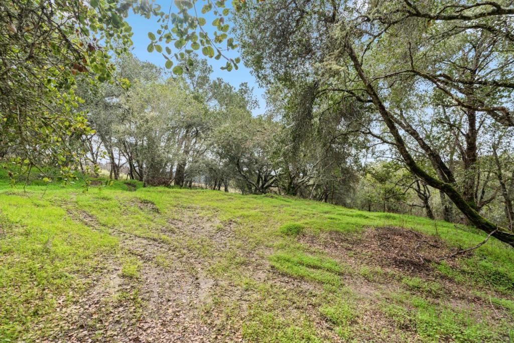 530 Apple Valley Lane Property Photo 35