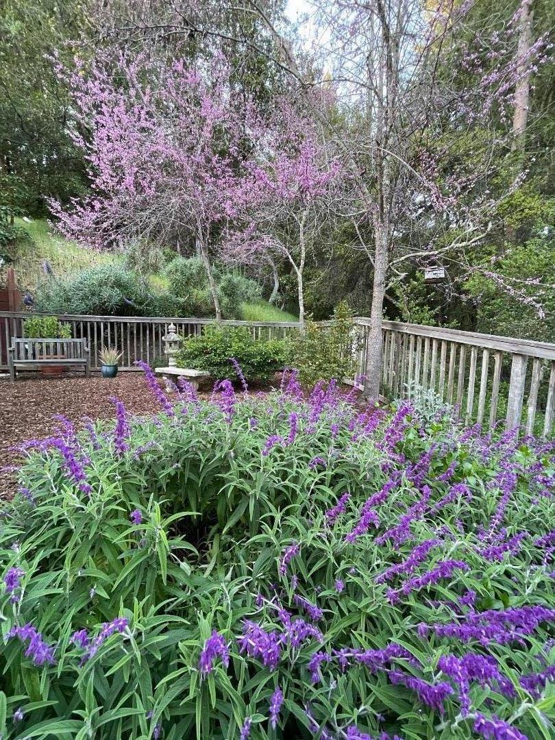 305 Mountain View Road Property Photo 51