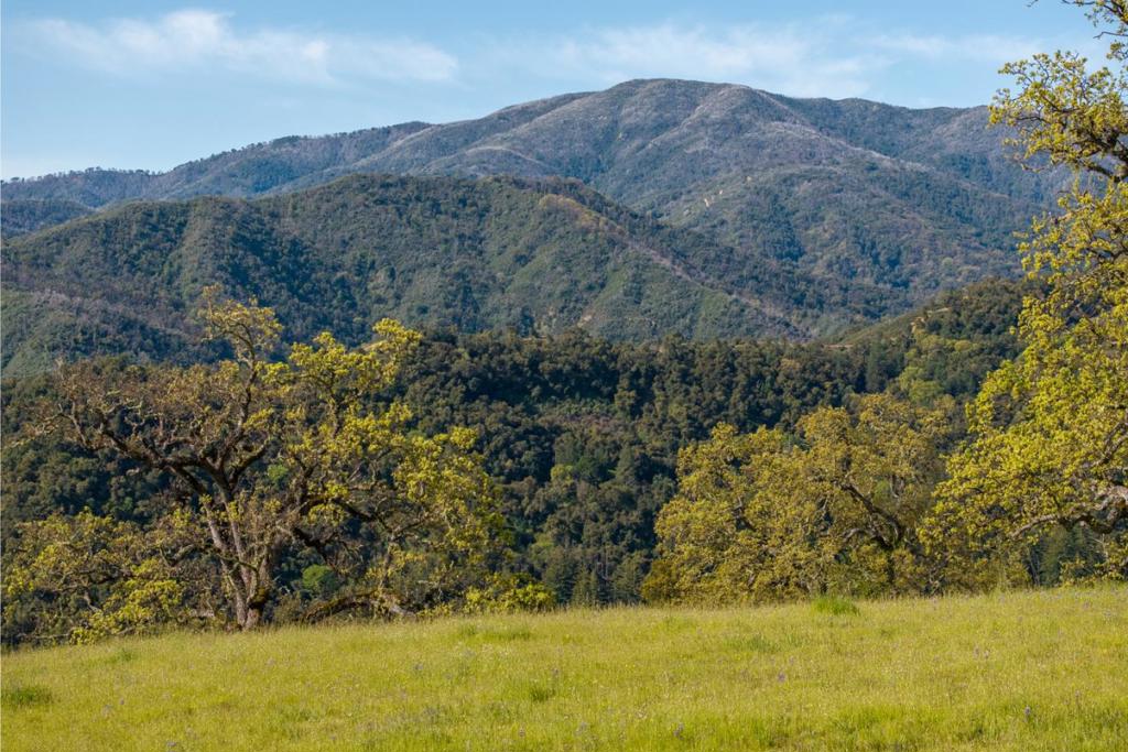16 Long Ridge Trail (lot 233) Property Photo