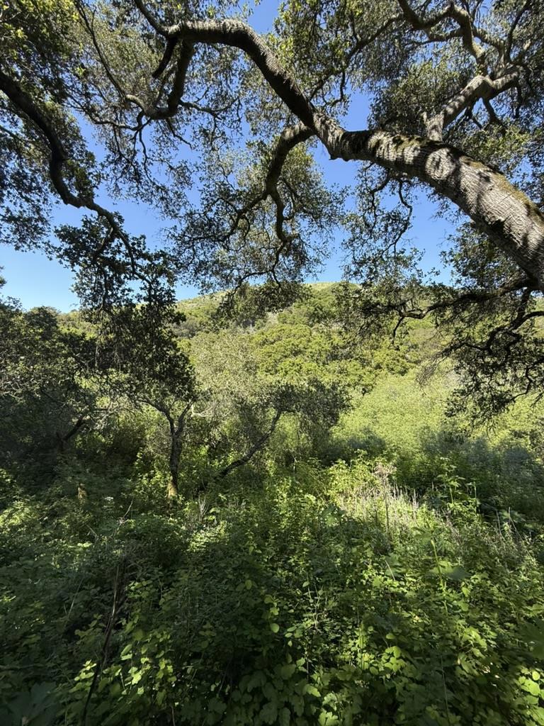 0 Bartlett Way Property Photo 1