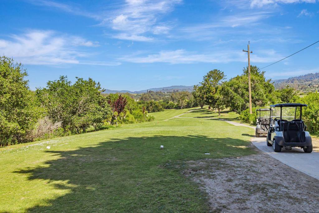 501 Spring Hills Drive Property Photo 42