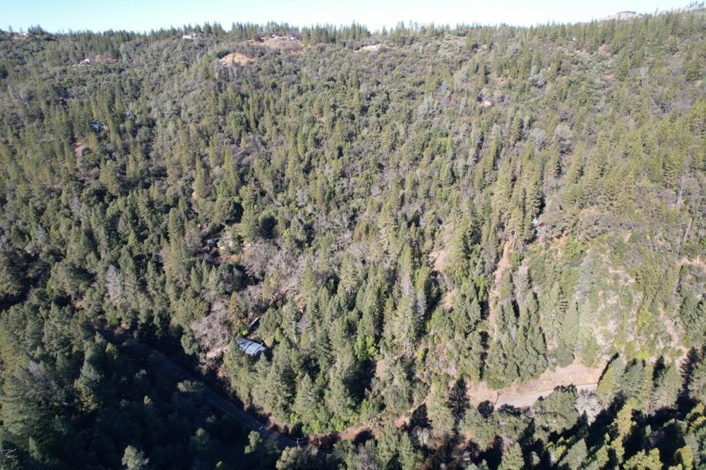 0 Sutter Creek Road Property Photo 1