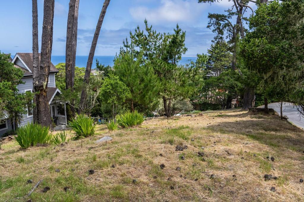 801 Lyndon Street Property Photo 2