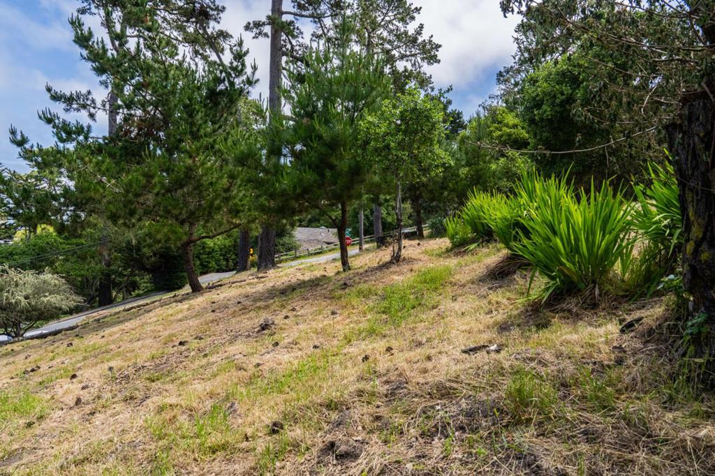 801 Lyndon Street Property Photo 4