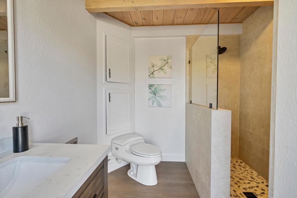 50 Florence Court Property Photo 35