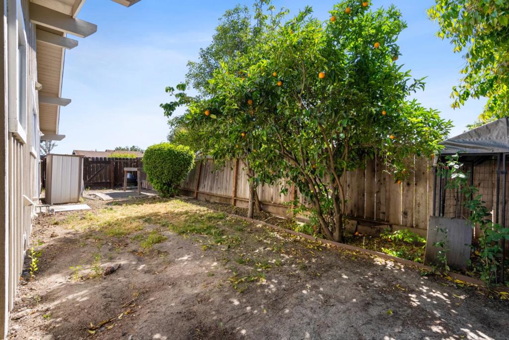 50 Florence Court Property Photo 39