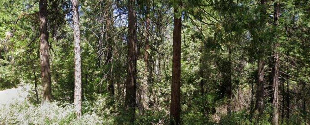 166 Higdon Road Property Photo 1