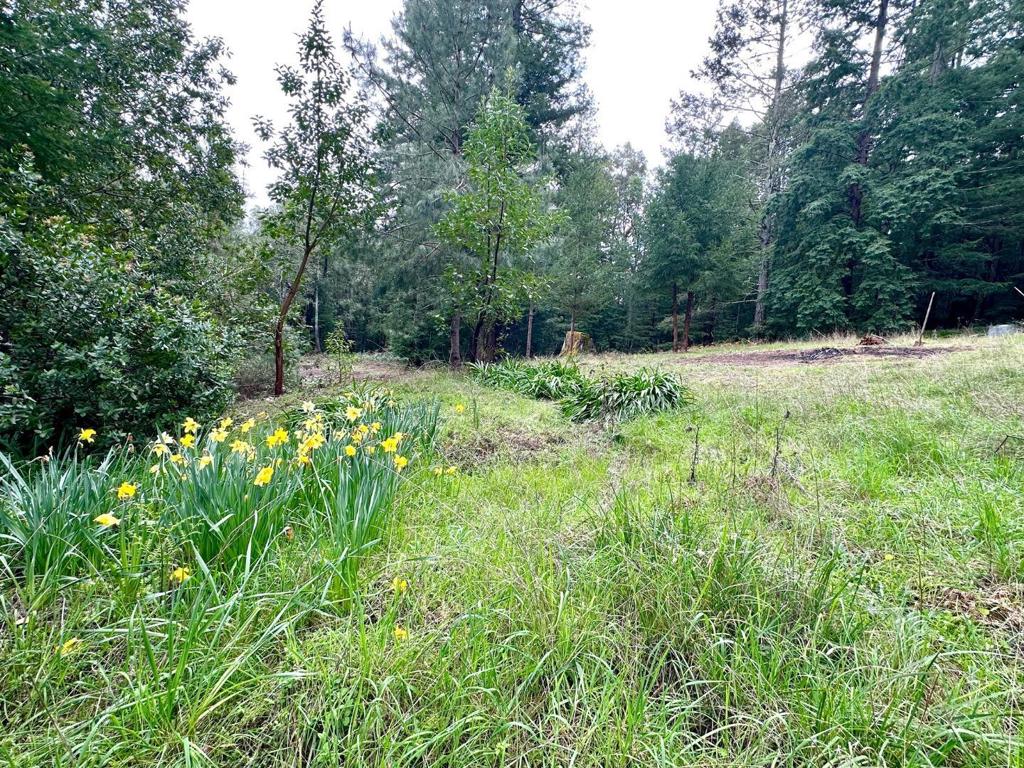 0 Eureka Canyon Road Property Photo 3