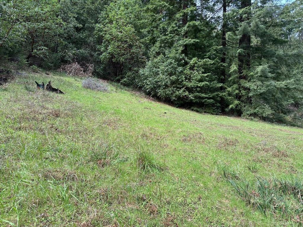 0 Eureka Canyon Road Property Photo 5