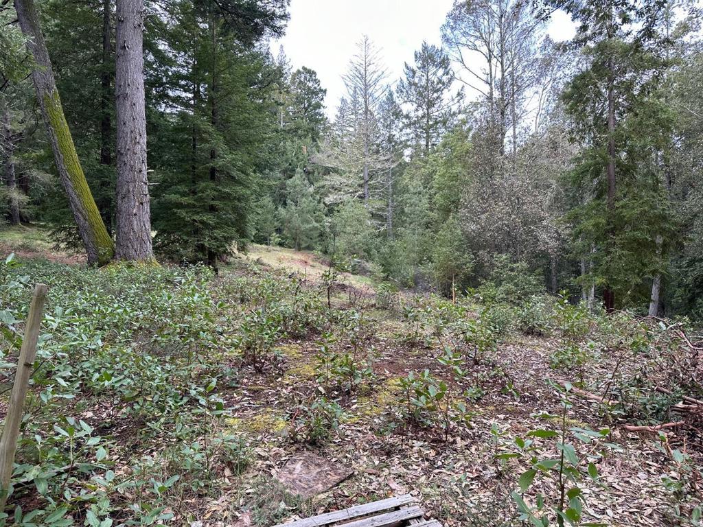 0 Eureka Canyon Road Property Photo 10