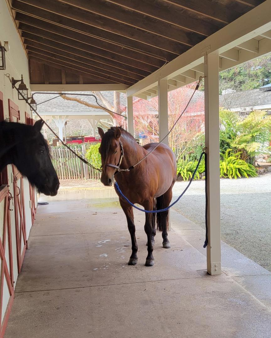 12170 Calle Uvas Property Photo 25