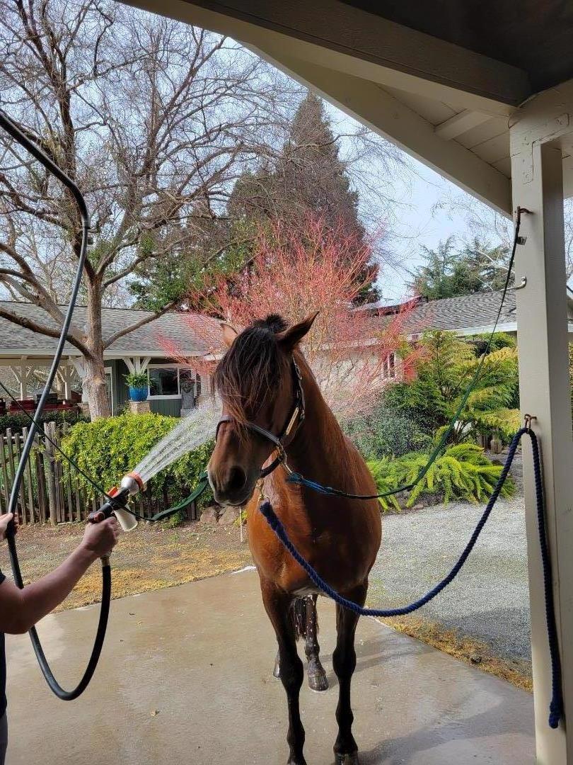 12170 Calle Uvas Property Photo 26