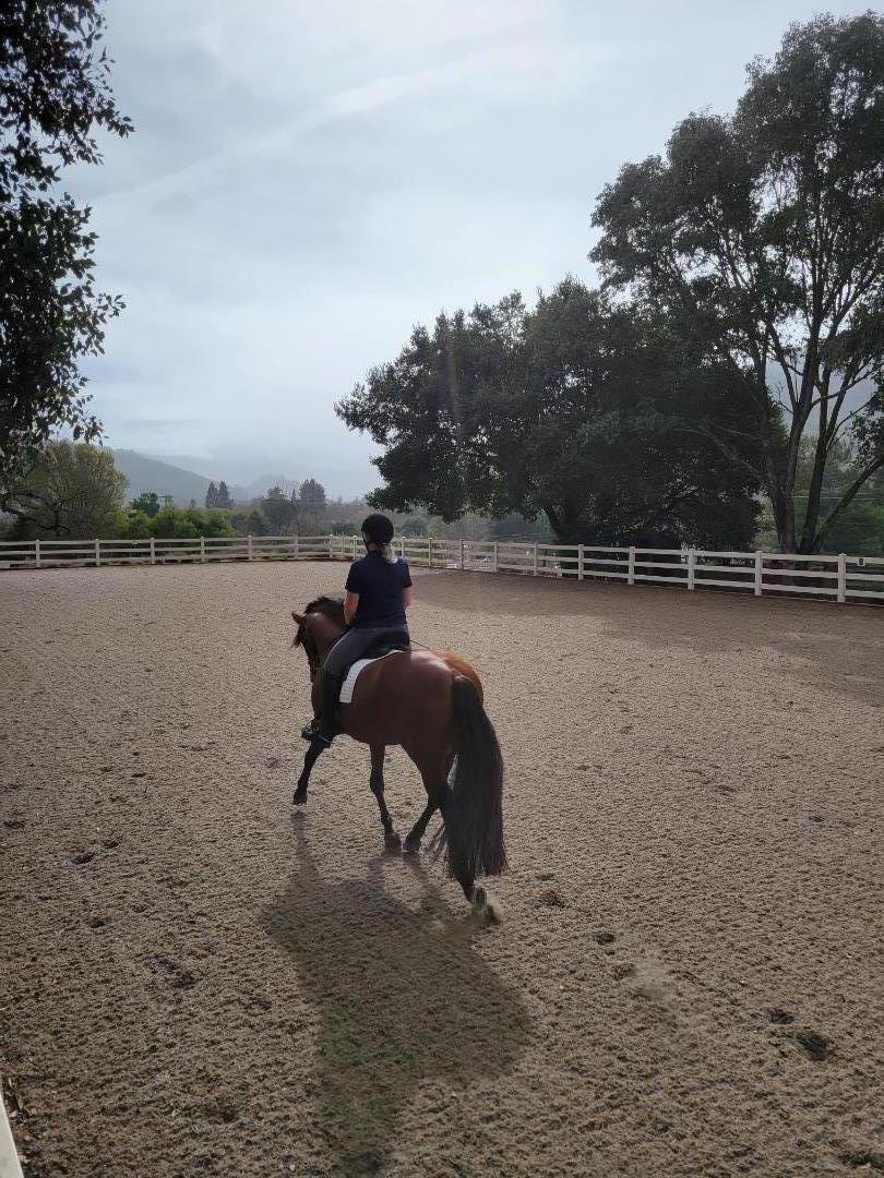 12170 Calle Uvas Property Photo 27