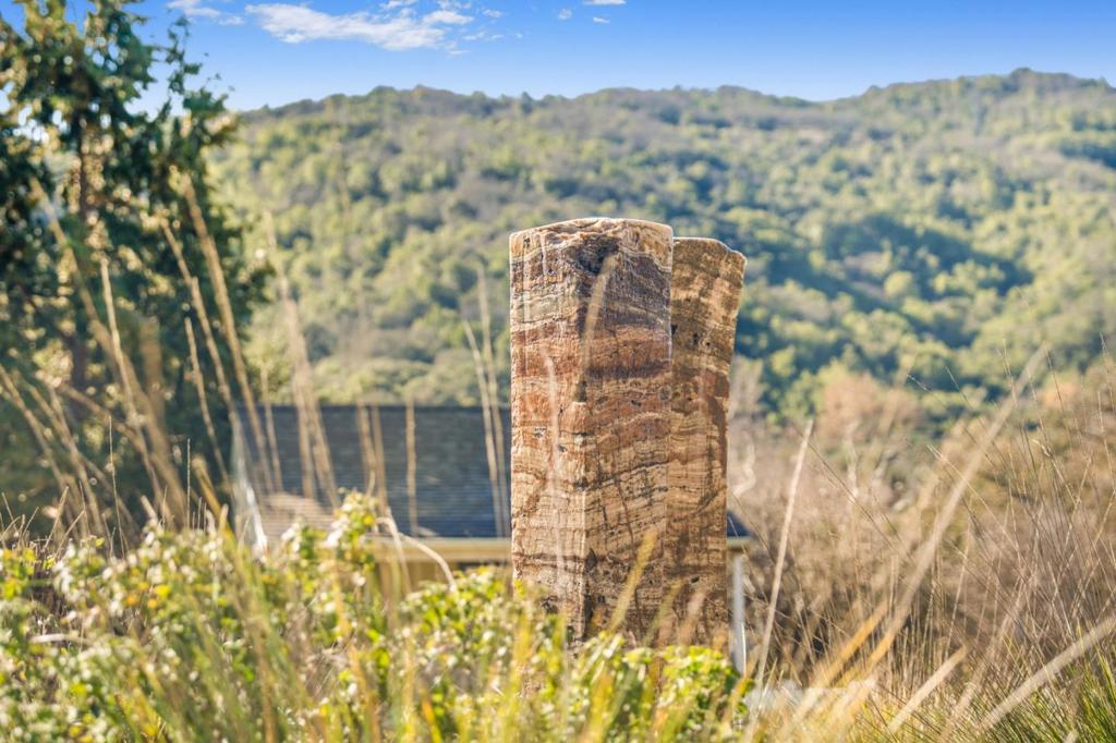 12170 Calle Uvas Property Photo 38